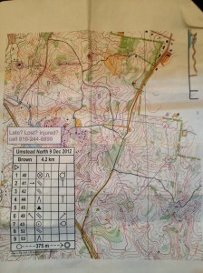 Our Sunday Afternoon Fun